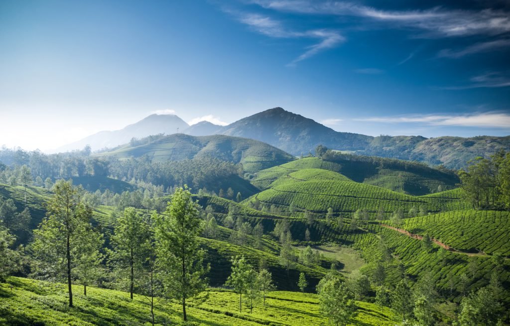 The Best Time to Visit Sri Lanka